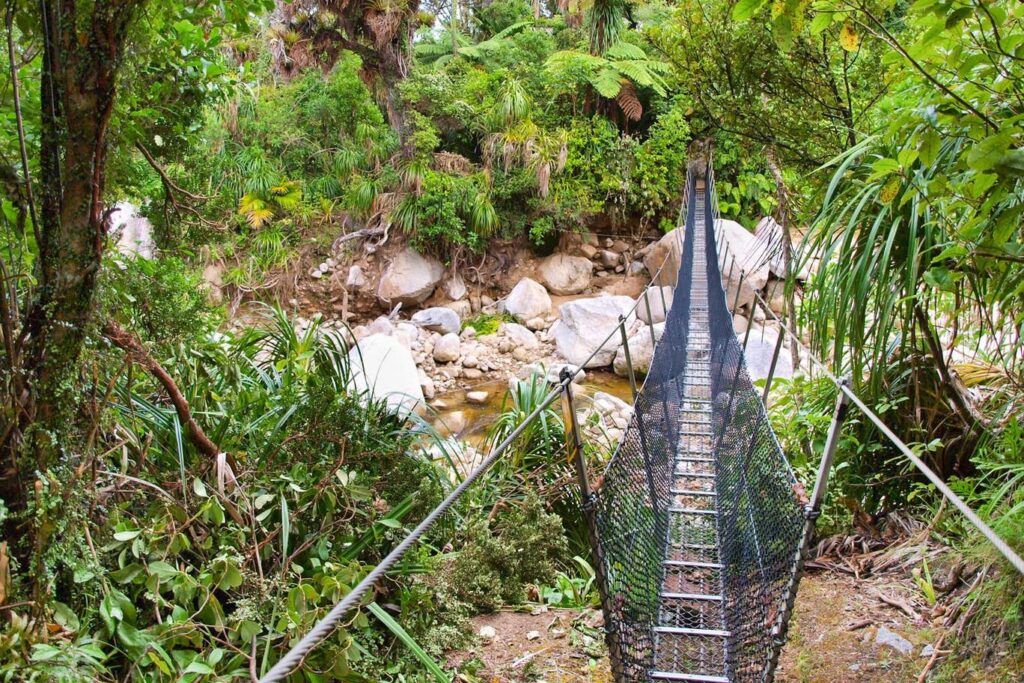 Rope Bridge in New Zealand
